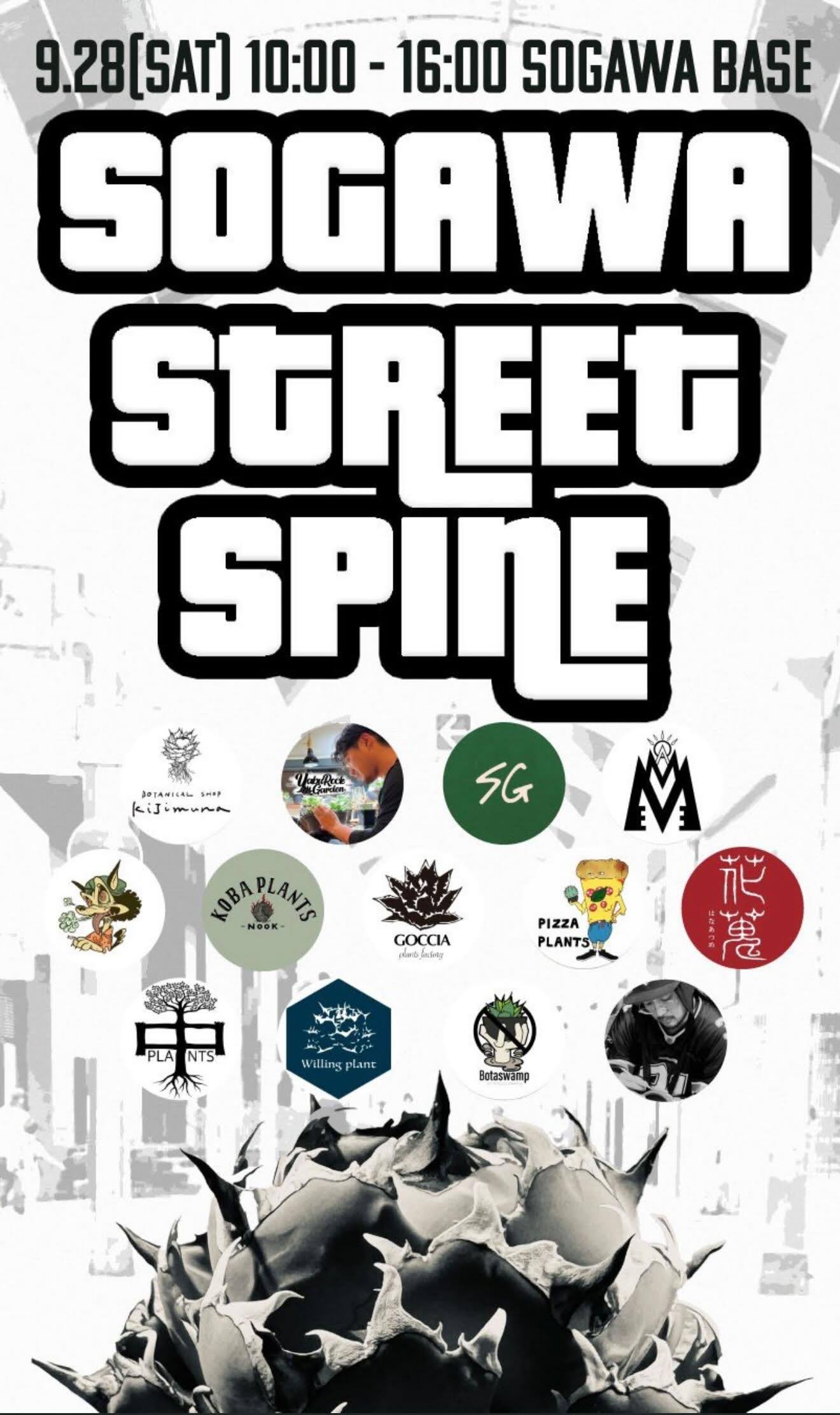 SOGAWA STREET SPINE