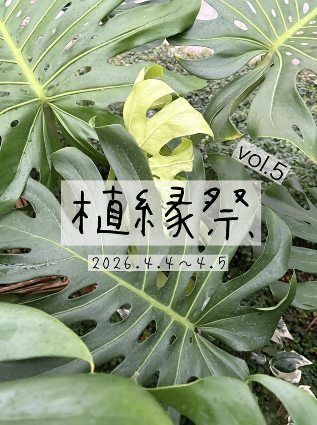 植縁祭vol.5