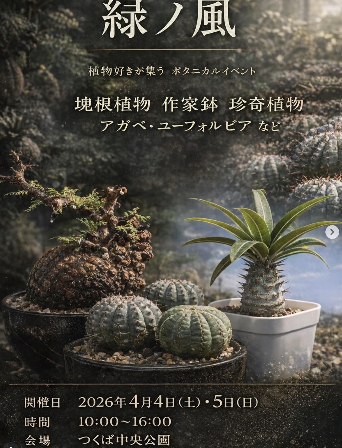 BOTANICAL FES緑ノ風 vol.8