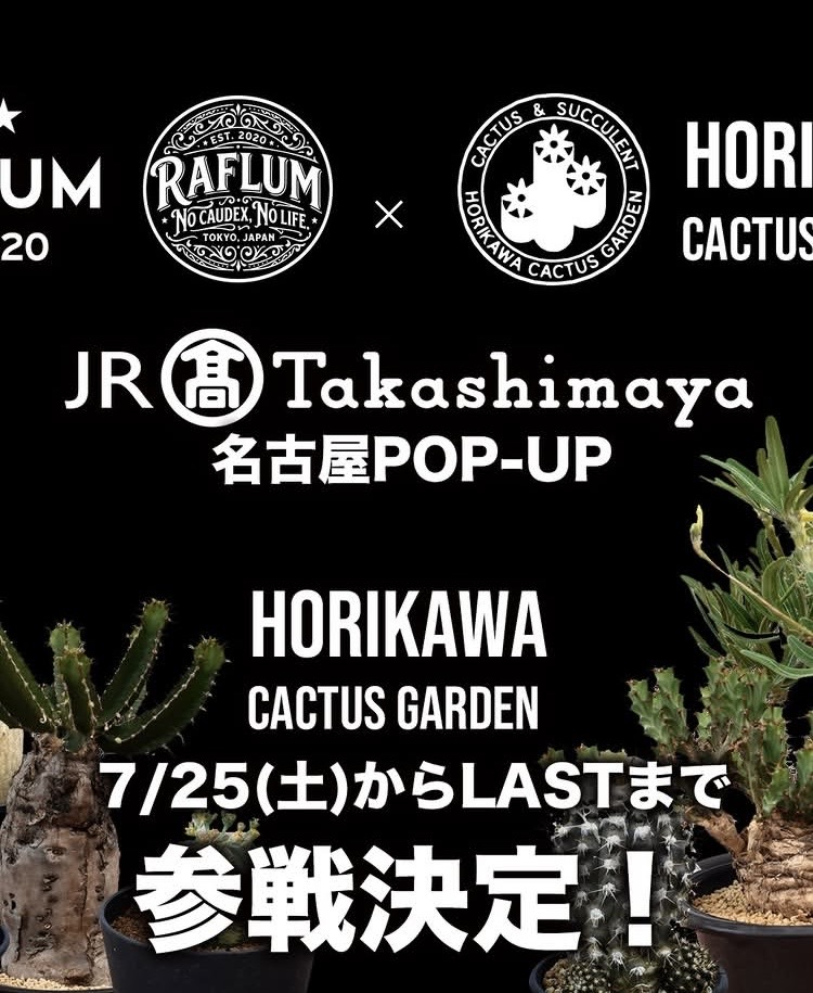 RAFLUM × HORIKAWA CUCTUS GARDEN JR Takashimaya 名古屋POP-UP