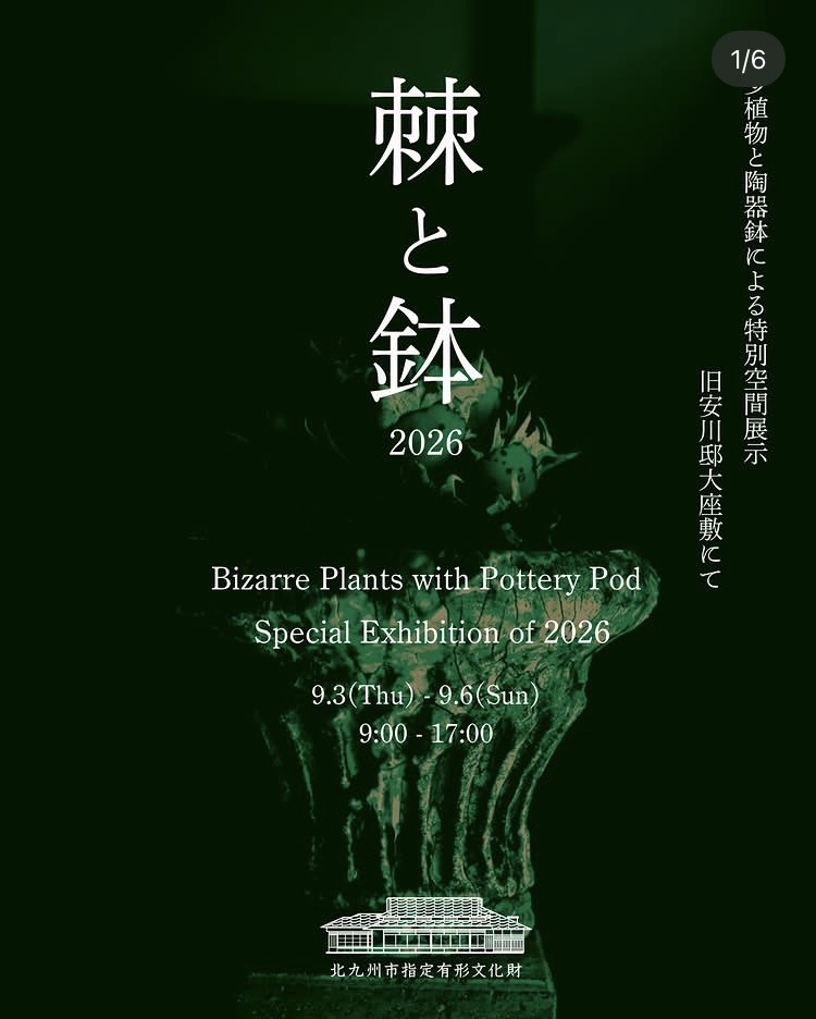 棘と鉢　2026 Bizarre Plants with Pottery Pod Special Exhibition of 2026