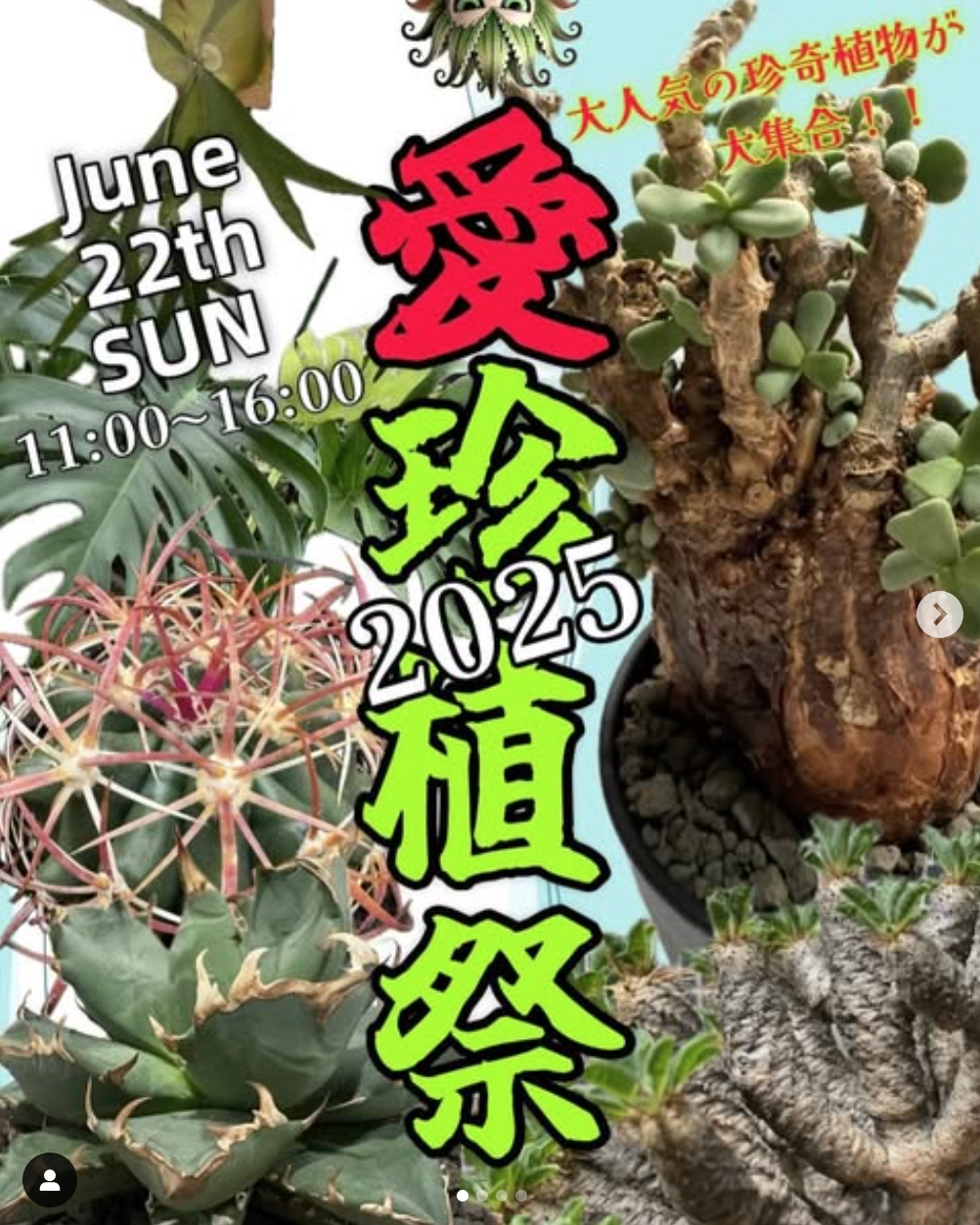 愛珍植祭2025
