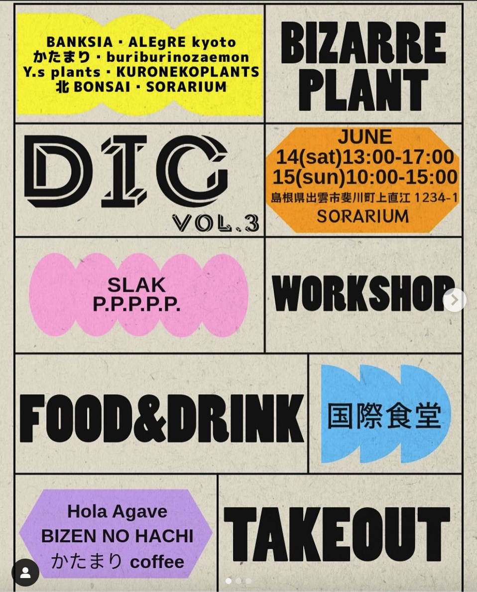 DIG vol.3