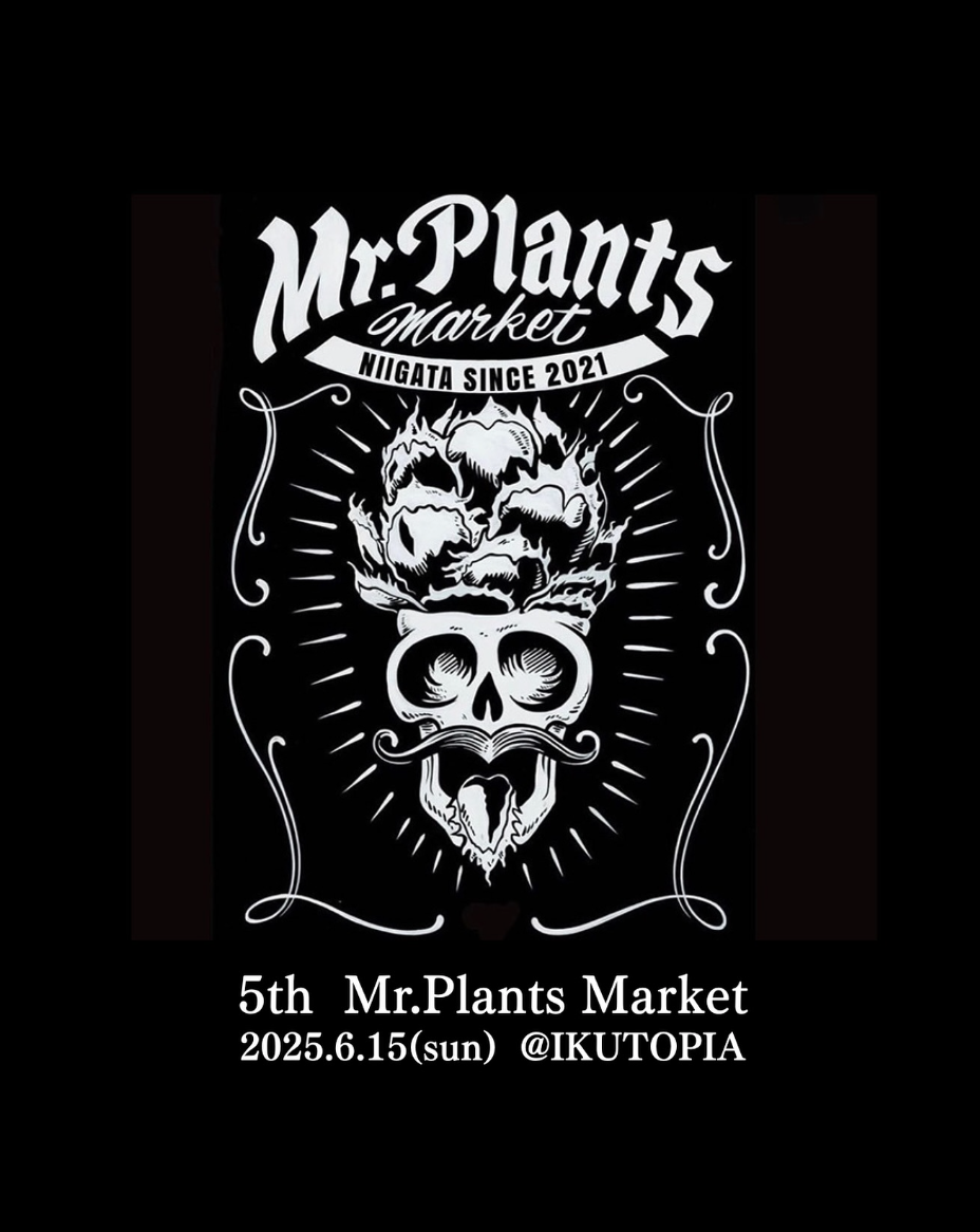 Mr. Plants Market 2025
