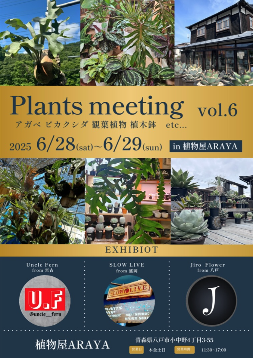 Plants meeting vol.6