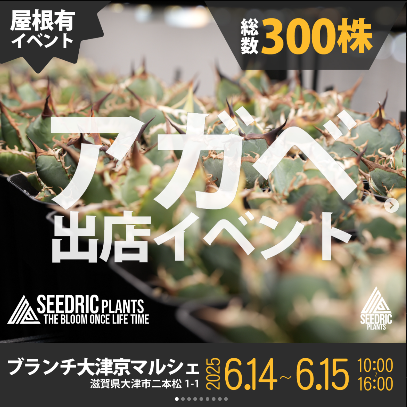 ブランチ手作りマルシェ