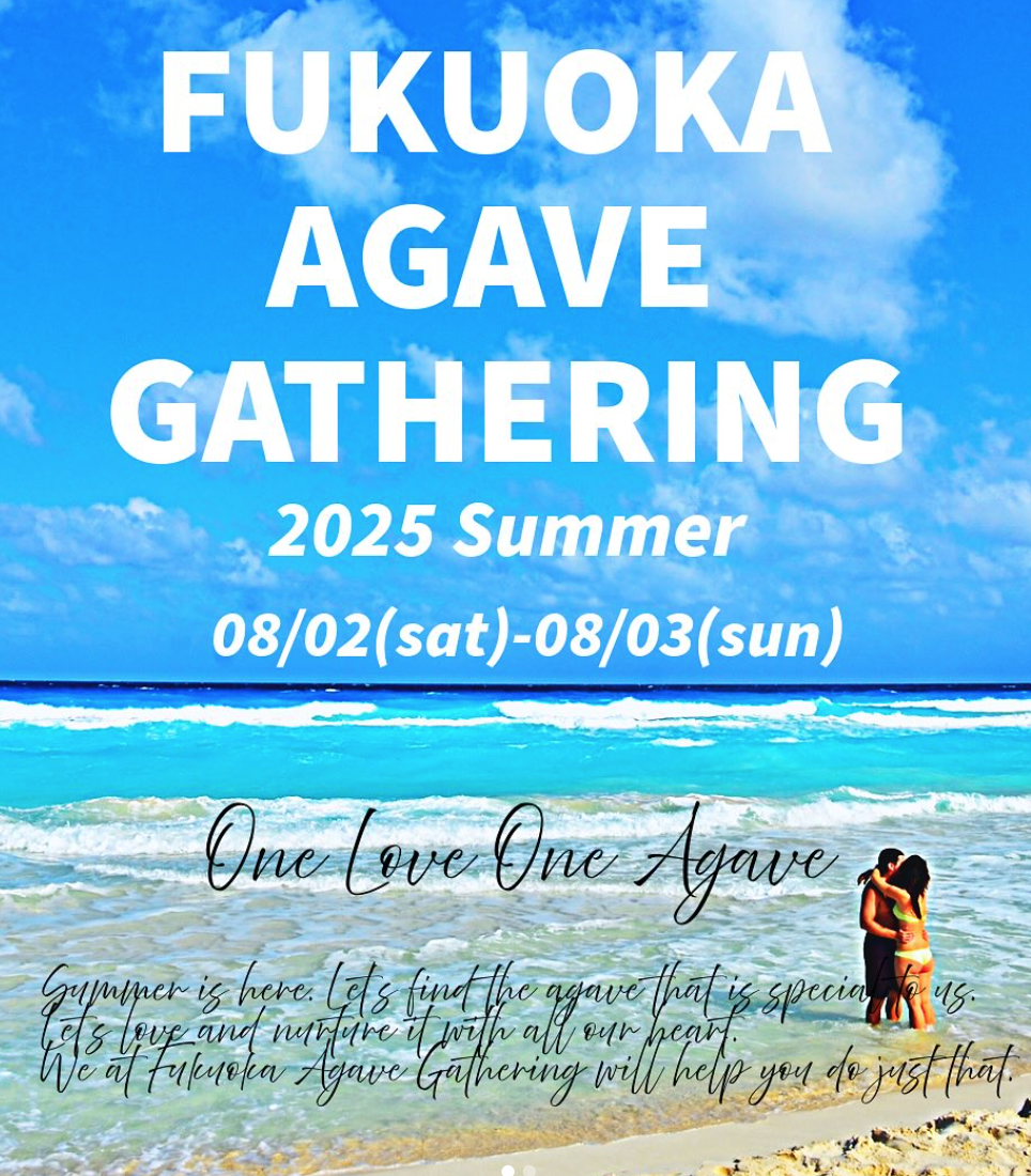 FUKUOKA AGAVE GATHERING