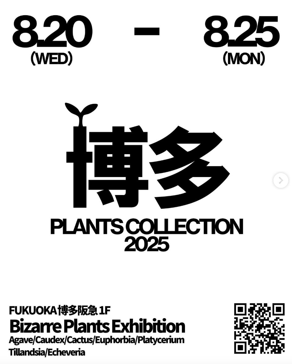 PLANTS COLLECTION