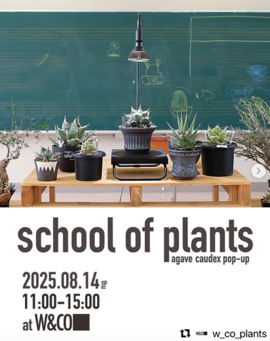 school of plants