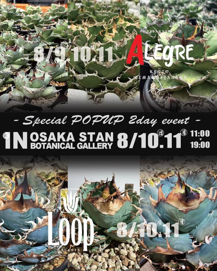 Stan Botanical Gallery　POPUP