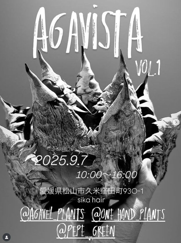 AGAVISTA 2025