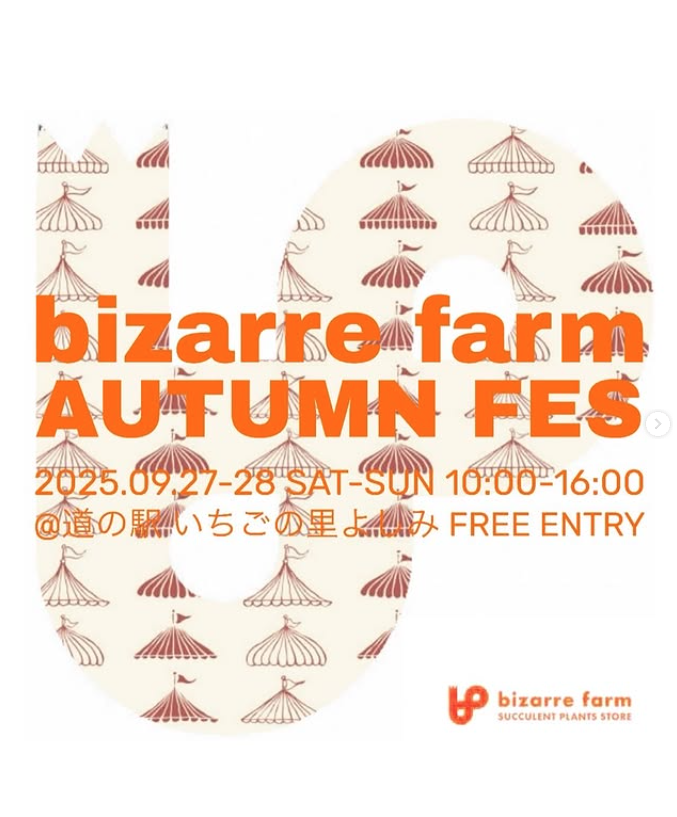 bizarre farm AUTUMN FES