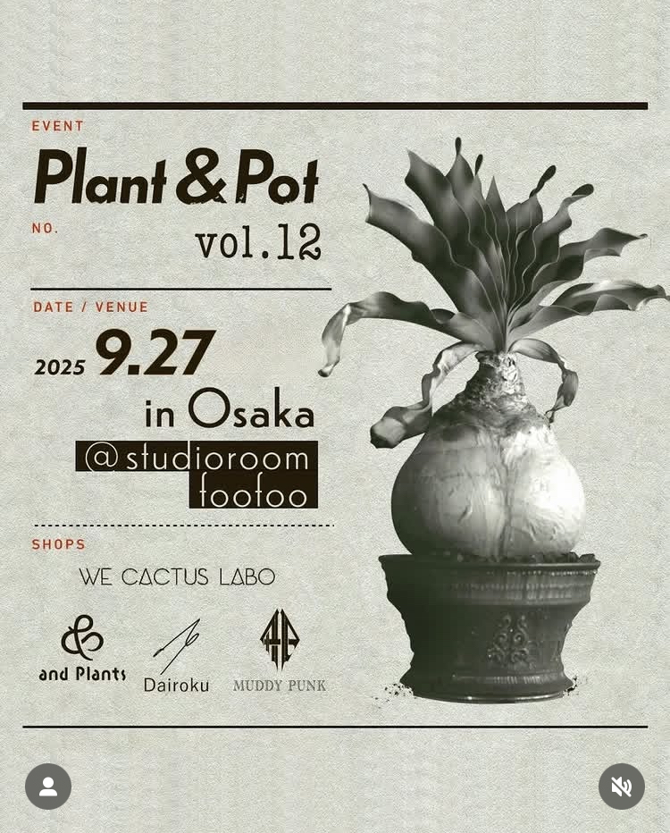 Plants & Pot Vol.12   in Osaka