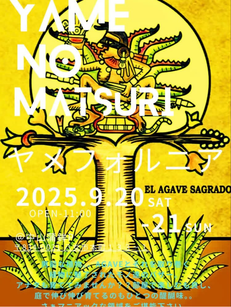 八女フォルニア珍奇植物市　ヤメフォルニア