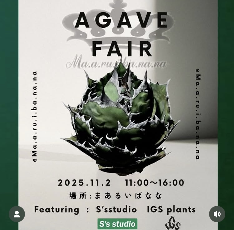 AGAVE FAIR