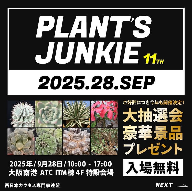 PLANTS JUNKIE  11TH