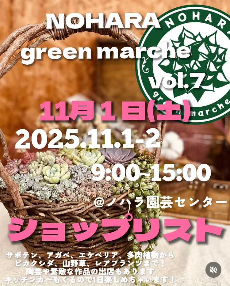 NOHARA green marche