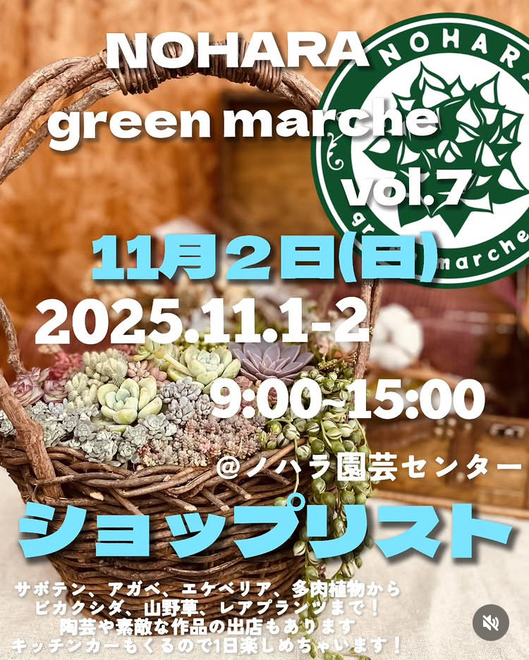 NOHARA green marche