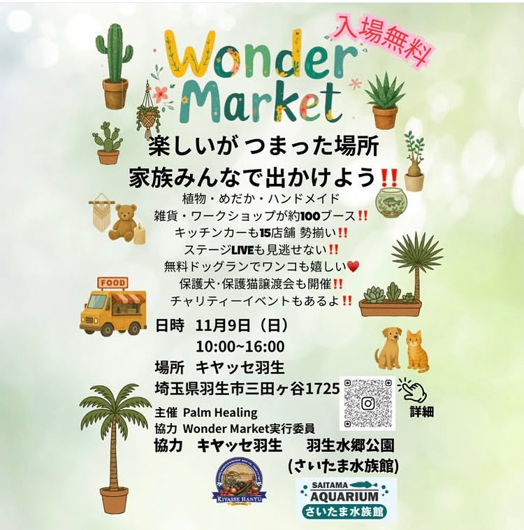 Wonder Market