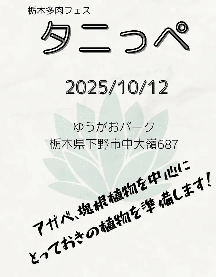 栃木多肉フェス　タニっぺ