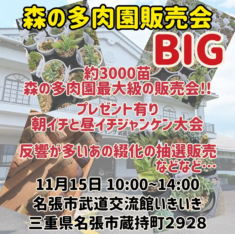 森の多肉園販売会 BIG