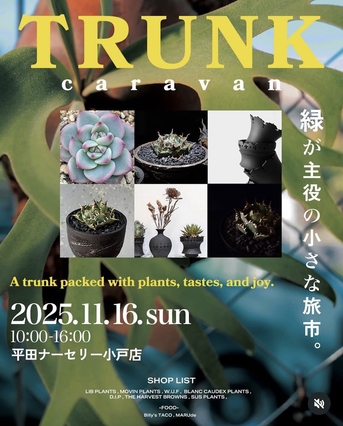 TRUNK caravan vol.1