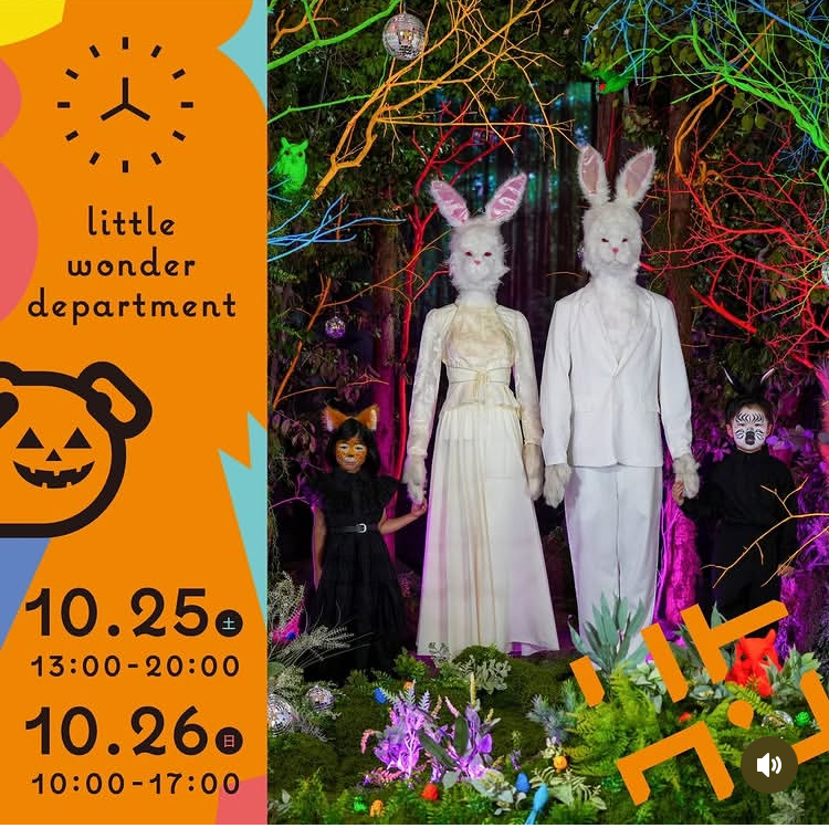 little wonder department vol.6