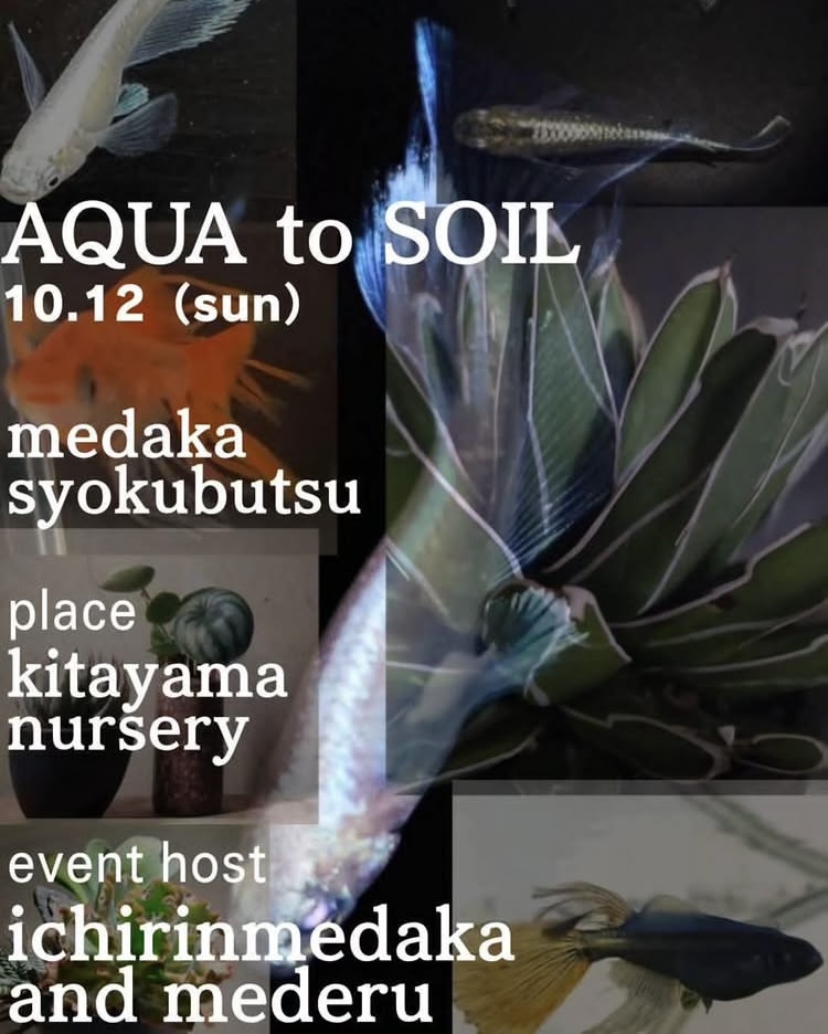 AQUA to SOIL