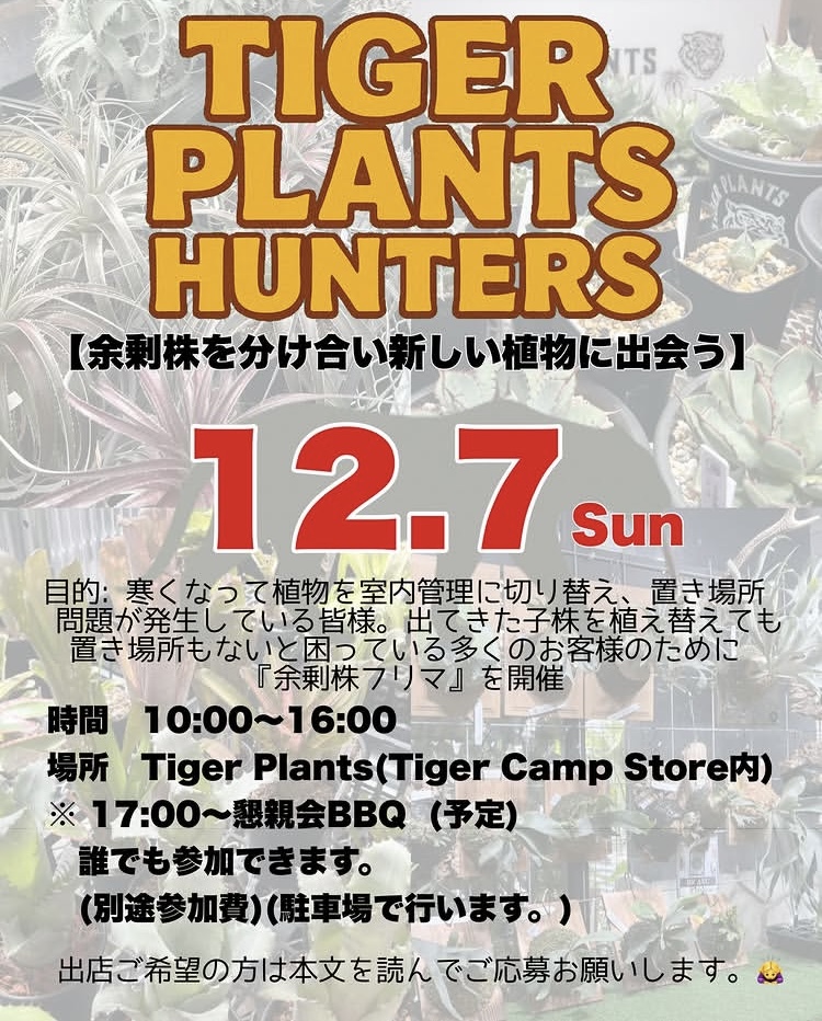 タイガープランツハンターズ【余剰株を分け合い新しい植物に出会う】