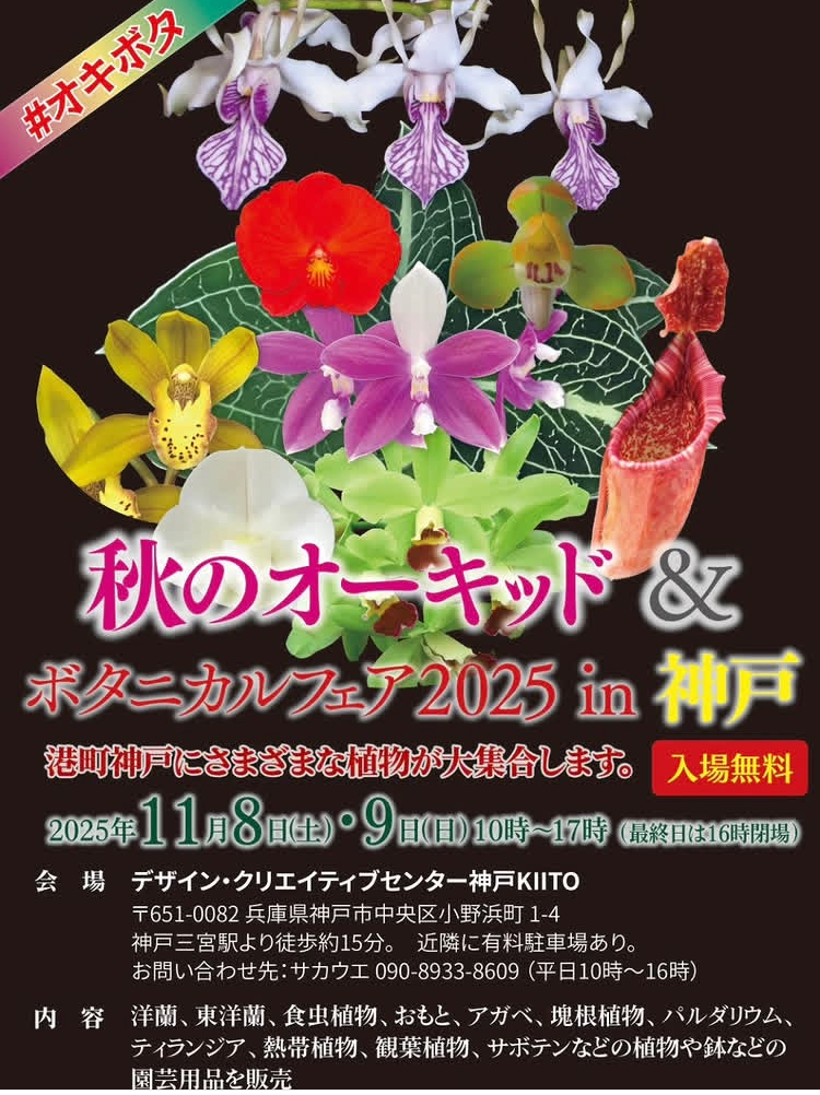 秋のオーキッド&ボタニカルフェア2025 in 神戸