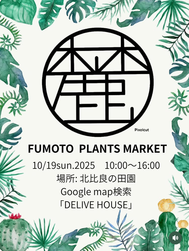 FUMOTO PLANTS MARKET