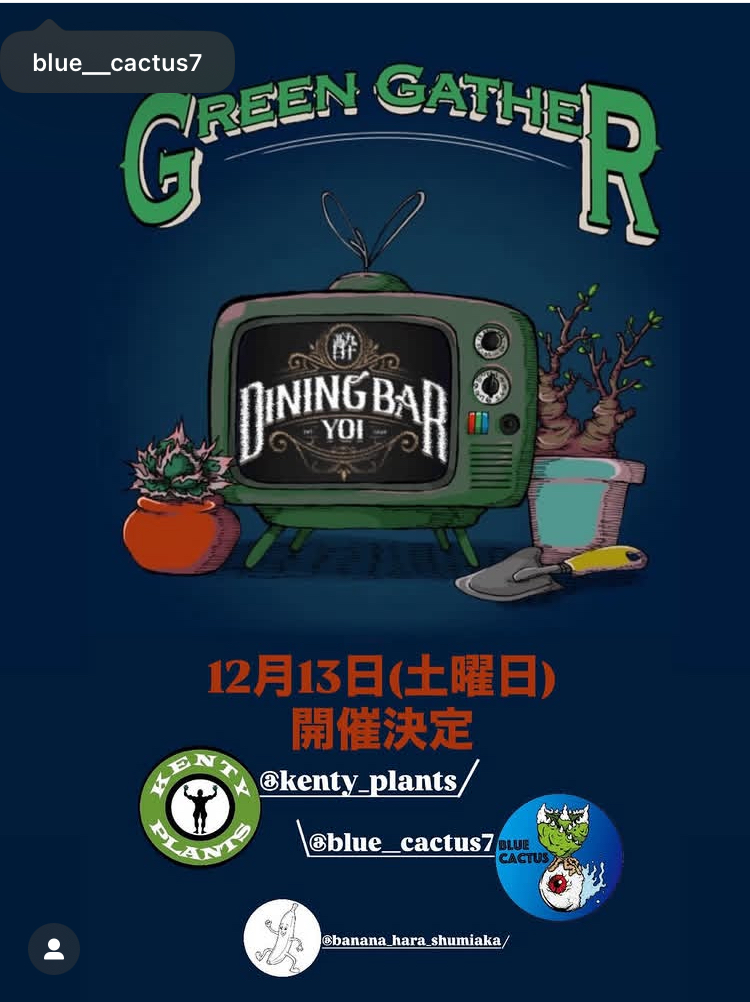 Green Gather Bow年会!!