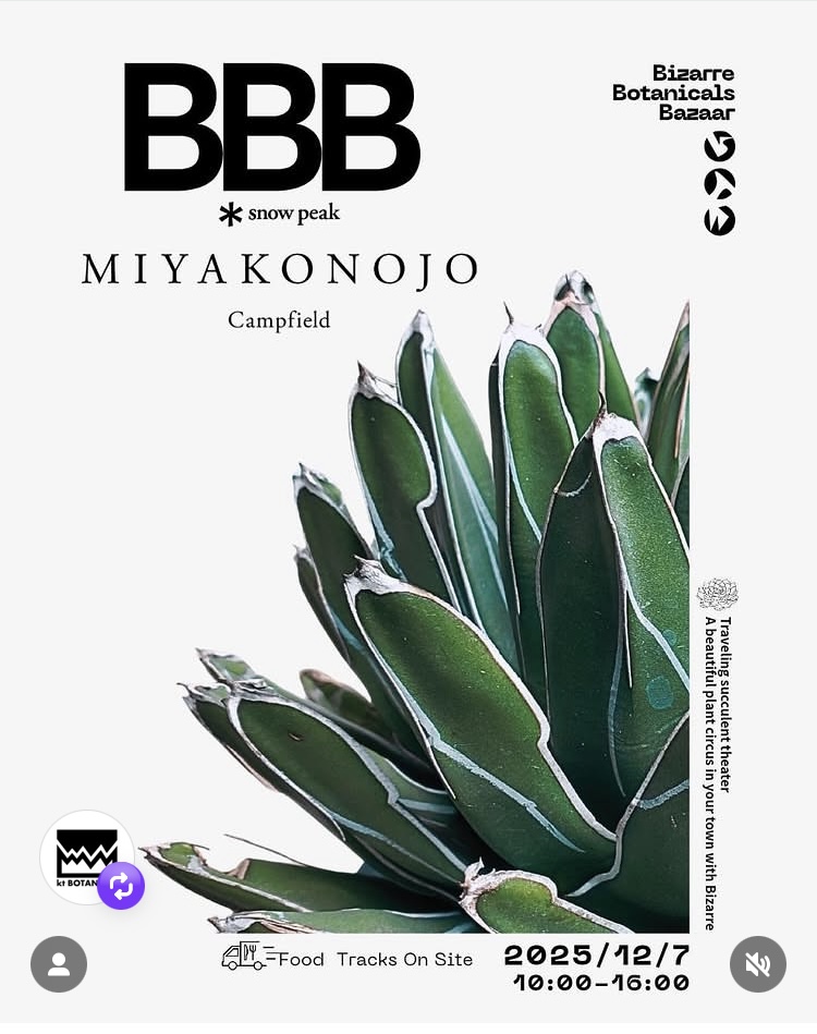 Bizarre Botanical Bazaar : Snow Peak MIYAKONOJO