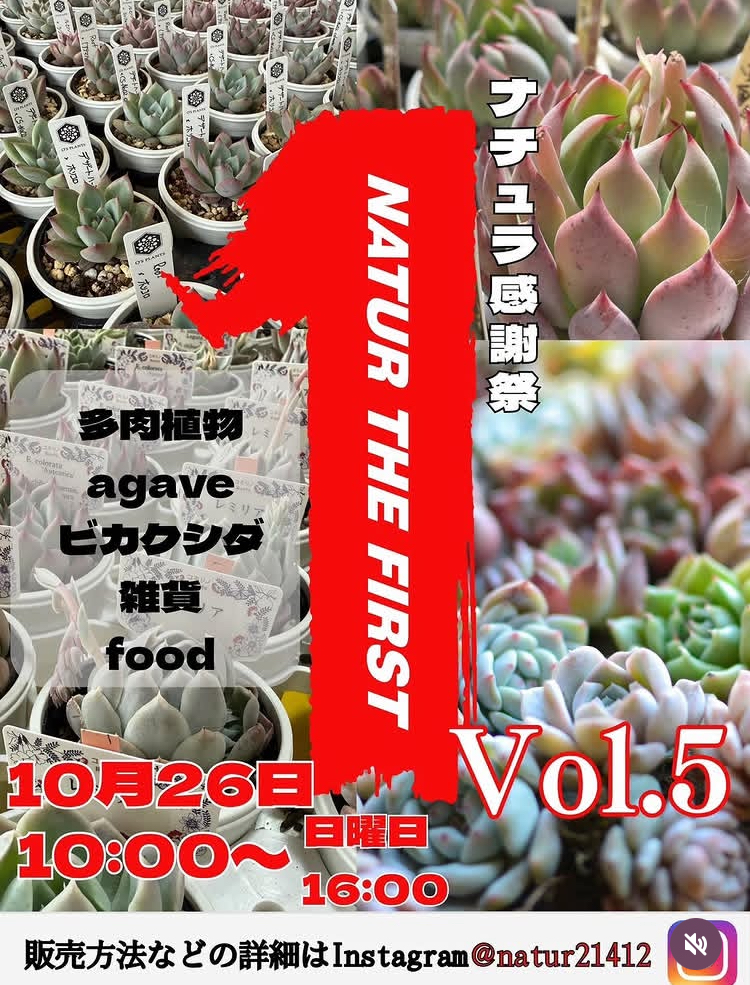 ナチュラ感謝祭