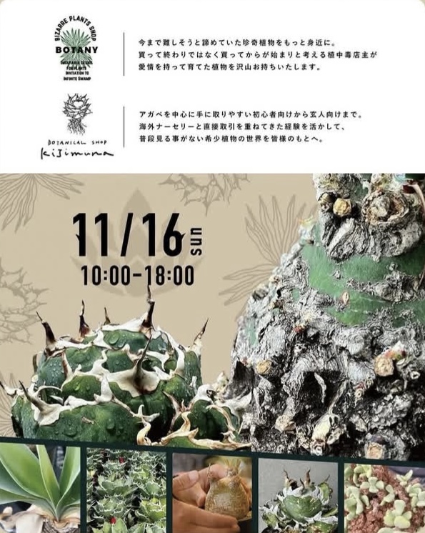 ビザールプランツ販売イベント