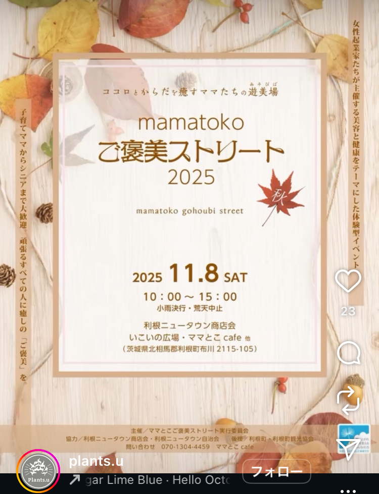 mamatoko ご褒美ストリート2025