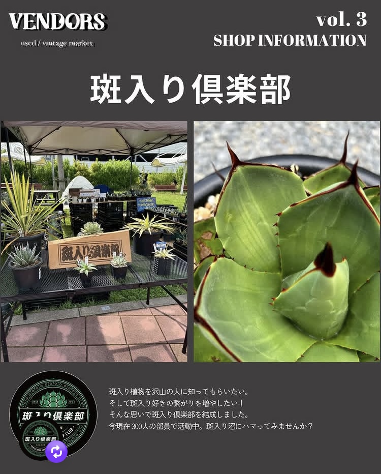 VENDORS Used Vintage Market