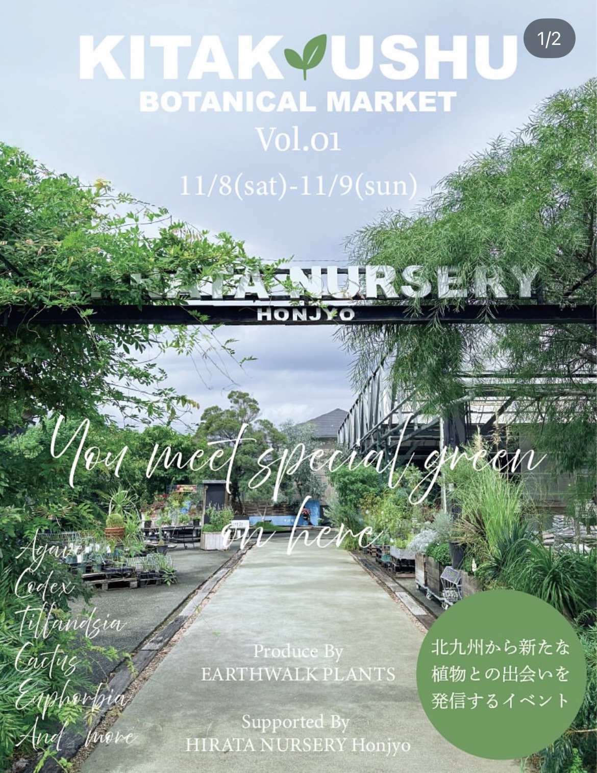 KITAKYUSHU BOTANICAL MARKET