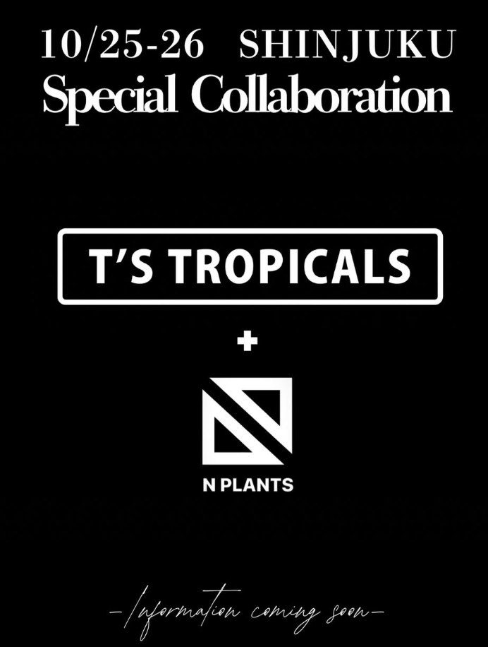 T’S TROPICALS × N PLANTS special collaboration