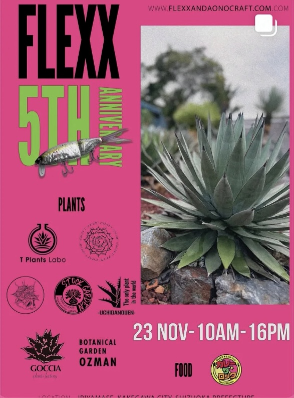 FLEX 5th ANNIVERSARY event