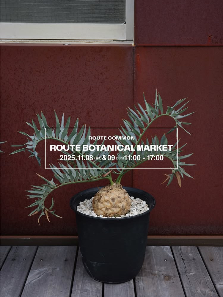 ROUTE BOTANICAL MARKET