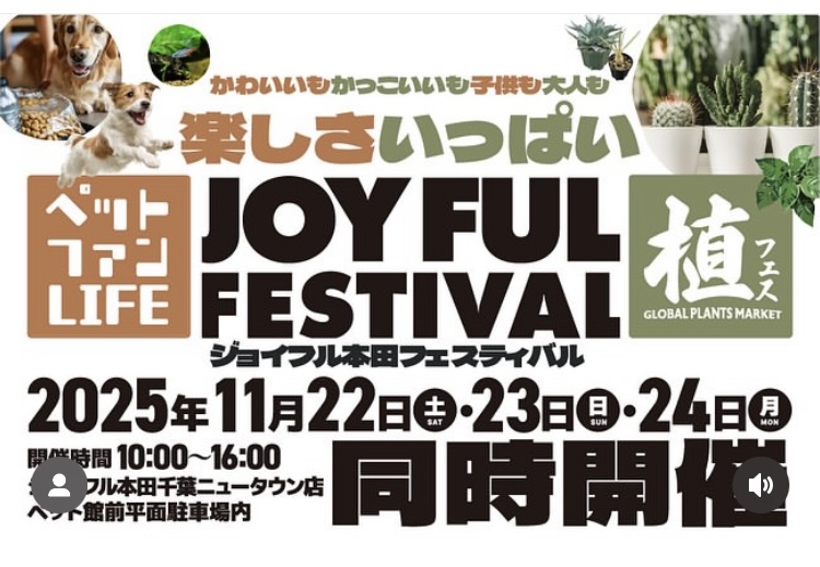 JOYFUL FESTIVAL