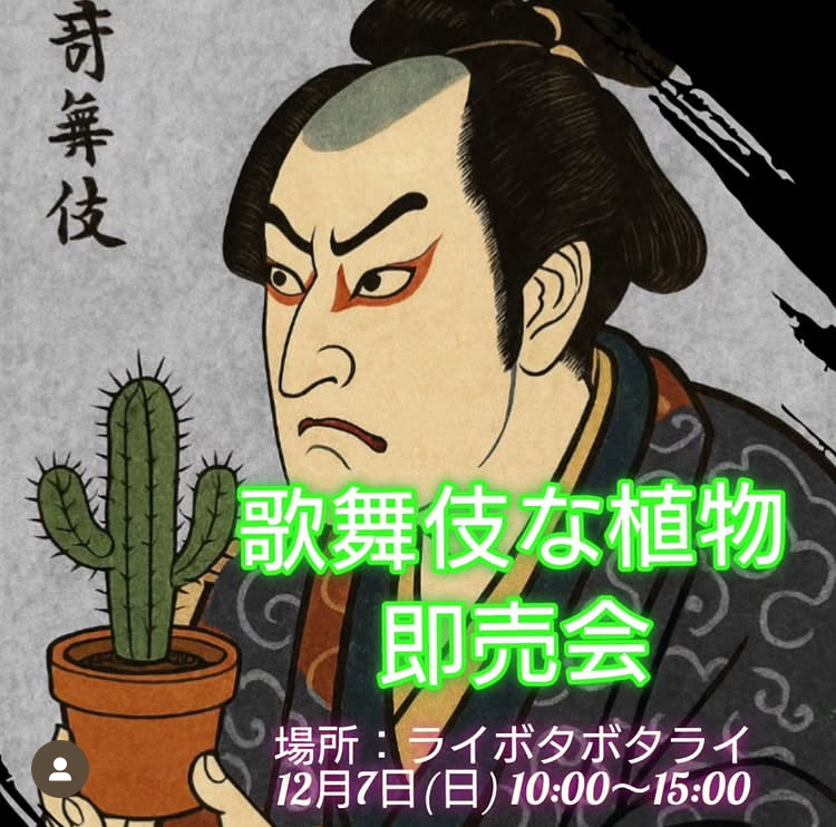 歌舞伎な植物 即売会