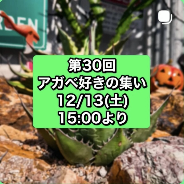 第30回アガベ好きの集い