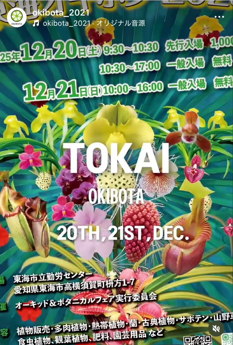 東海オキボタ 2025