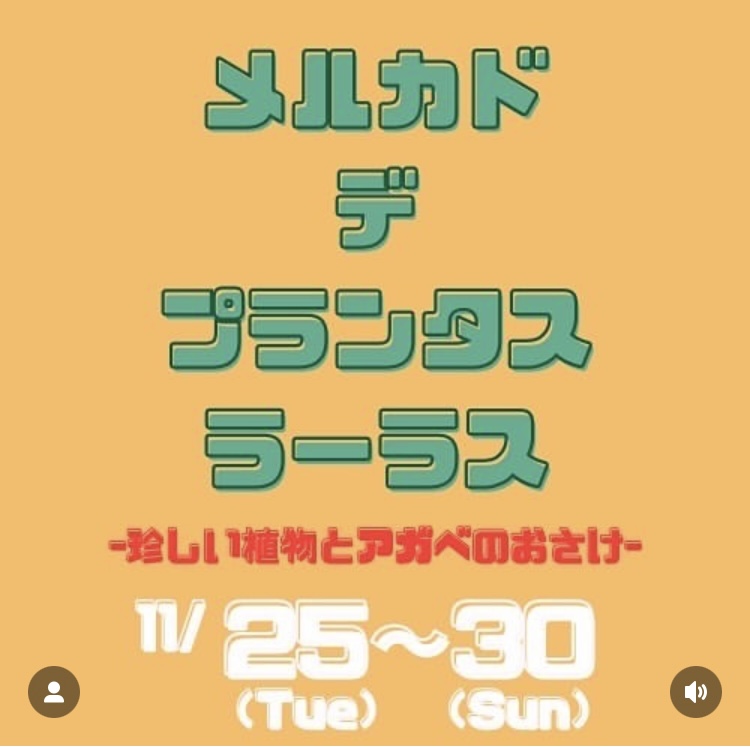 メルカド デ プランタス ラーラス -珍しい植物とアガベのおさけ-