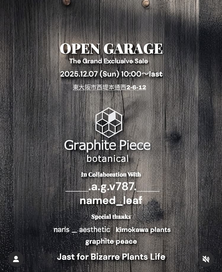 OPEN GARAGE the Grand Exclusive Sale