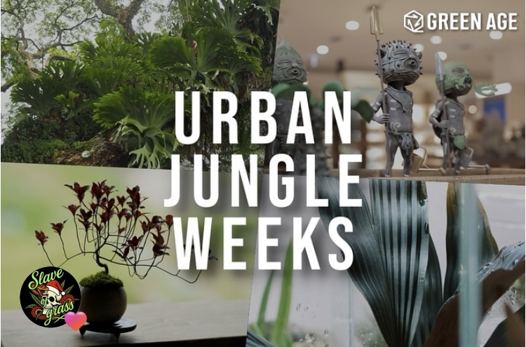 URBAN JUNGLE WEEKS
