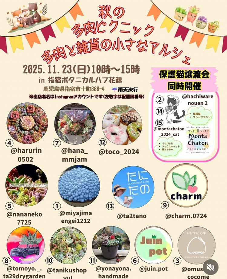 秋の多肉ピクニック 多肉と雑貨の小さなマルシェ
