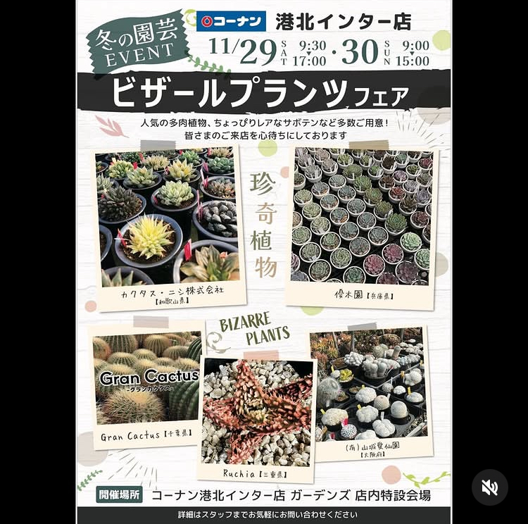 ビザールプランツフェア